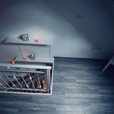 Dalmatian White Shell *