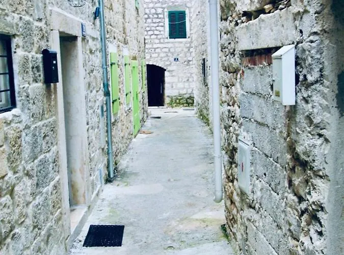 Dalmatian White Shell Apartmán