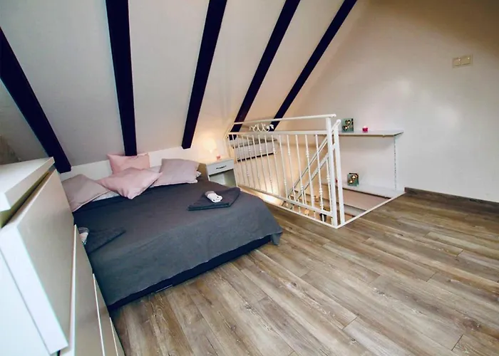 Dalmatian White Shell Apartmán *