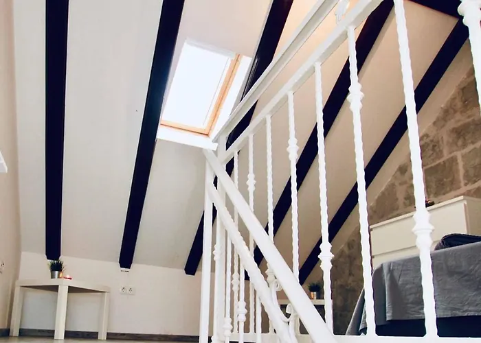 Dalmatian White Shell * Kaštela