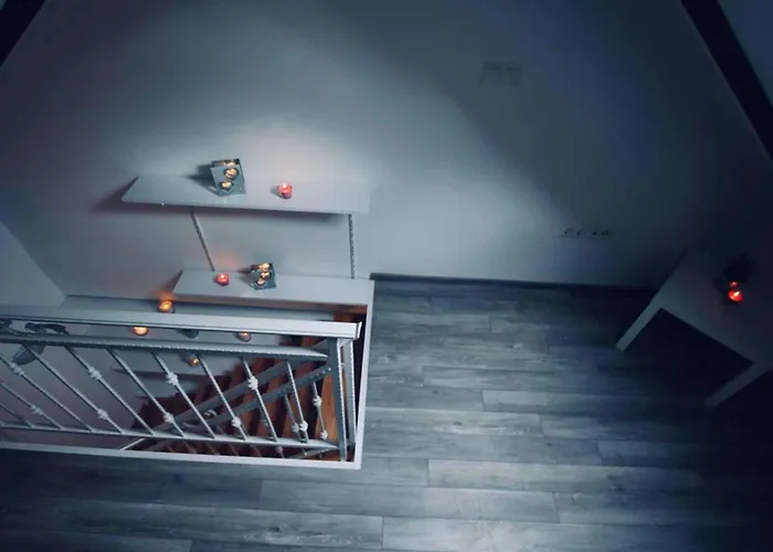 Dalmatian White Shell *