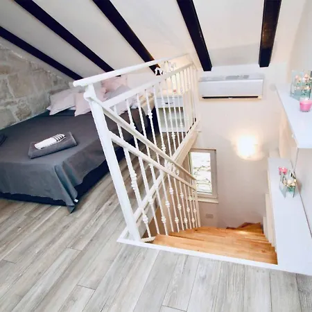 Daire Dalmatian White Shell