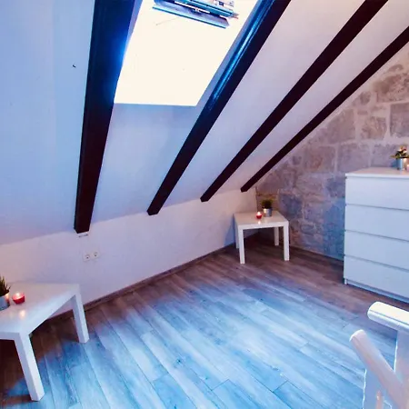 Apartment Dalmatian White Shell *