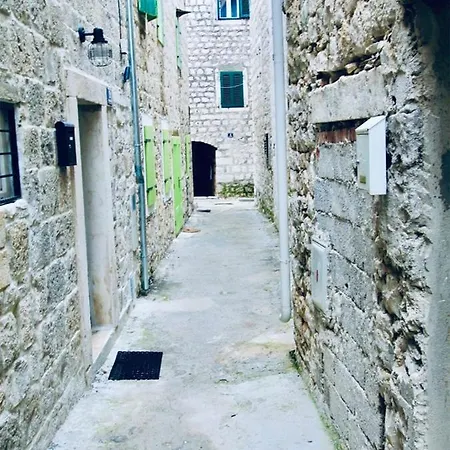 Dalmatian White Shell Apartment