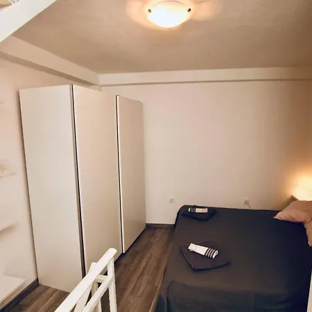 Apartment Dalmatian White Shell