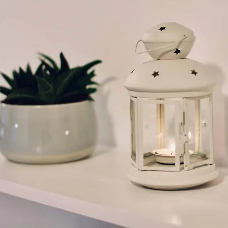 Daire Dalmatian White Shell Kastela