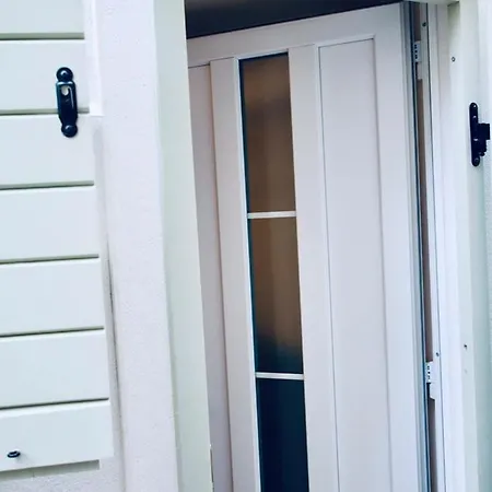 Apartment Dalmatian White Shell *