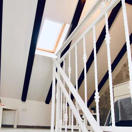 Dalmatian White Shell * Kaštela