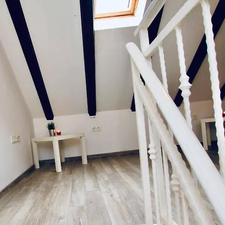 Dalmatian White Shell Apartment