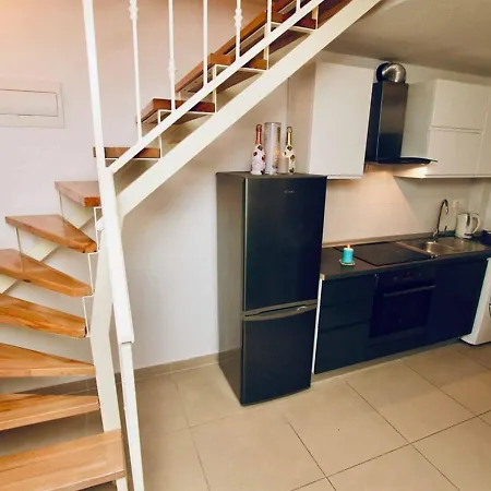 Dalmatian White Shell Apartment